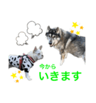 あいあむぽぽ。2（個別スタンプ：3）