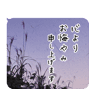 遠方よりお悔やみのご言葉【空と植物】（個別スタンプ：8）