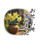 毎日使える 敬語 挨拶 京都✿大人上品お花（個別スタンプ：33）