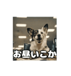 仕事に忠実な社畜犬 動く（個別スタンプ：6）