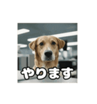 仕事に忠実な社畜犬 動く（個別スタンプ：8）