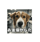 仕事に忠実な社畜犬 動く（個別スタンプ：11）