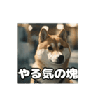 仕事に忠実な社畜犬 動く（個別スタンプ：14）