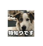 仕事に忠実な社畜犬 動く（個別スタンプ：21）