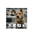 仕事に忠実な社畜犬 動く（個別スタンプ：22）