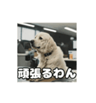 仕事に忠実な社畜犬 動く（個別スタンプ：23）