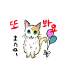 うちの猫が呟く韓国語（個別スタンプ：8）