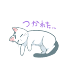 ぶち猫ふぅ（個別スタンプ：13）