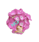 ヒョウモントカゲモドキpu（個別スタンプ：3）
