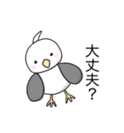 ゆるかわ★白インコの日常（個別スタンプ：24）