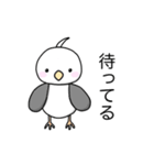 ゆるかわ★白インコの日常（個別スタンプ：37）