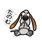 バセットハウンド(犬) 52（個別スタンプ：32）