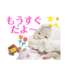 かわいい赤ちゃんとねこちゃん（個別スタンプ：11）