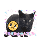 かわいい赤ちゃんとねこちゃん（個別スタンプ：35）
