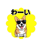 サングラスをかけた犬たち（個別スタンプ：10）