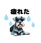 サングラスをかけた犬たち（個別スタンプ：16）