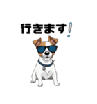 サングラスをかけた犬たち（個別スタンプ：20）