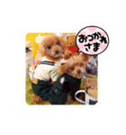 ミキミニスタンプ2024（個別スタンプ：4）