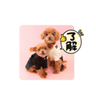 ミキミニスタンプ2024（個別スタンプ：5）
