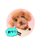 ミキミニスタンプ2024（個別スタンプ：6）