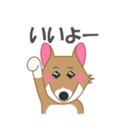 犬＜茶シロ＞はなちゃんスタンプ（個別スタンプ：11）