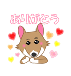 犬＜茶シロ＞はなちゃんスタンプ（個別スタンプ：12）