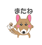 犬＜茶シロ＞はなちゃんスタンプ（個別スタンプ：16）