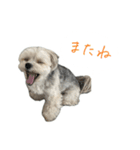 音 2403（個別スタンプ：7）