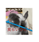 使いみち無限大スタンプ（個別スタンプ：3）