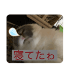 使いみち無限大スタンプ（個別スタンプ：11）