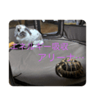 使いみち無限大スタンプ（個別スタンプ：16）