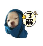 ゆずの日常 ぽめ（個別スタンプ：6）