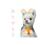 ゆずの日常 ぽめ（個別スタンプ：8）