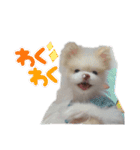 ゆずの日常 ぽめ（個別スタンプ：14）