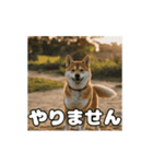 ぜんぜん忠犬じゃない柴犬（個別スタンプ：2）