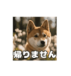 ぜんぜん忠犬じゃない柴犬（個別スタンプ：5）