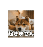 ぜんぜん忠犬じゃない柴犬（個別スタンプ：7）