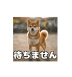 ぜんぜん忠犬じゃない柴犬（個別スタンプ：8）