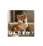 ぜんぜん忠犬じゃない柴犬（個別スタンプ：15）