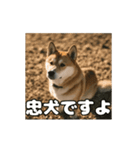 ぜんぜん忠犬じゃない柴犬（個別スタンプ：22）