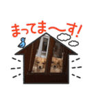 チロルチョコ 外出（個別スタンプ：6）