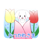 ちびプードル6【春①】（個別スタンプ：5）