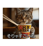 猫の煽り【猫・面白い・うざい猫】（個別スタンプ：2）