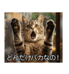 猫の煽り【猫・面白い・うざい猫】（個別スタンプ：8）