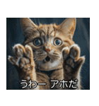 猫の煽り【猫・面白い・うざい猫】（個別スタンプ：23）
