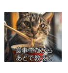 猫の煽り【猫・面白い・うざい猫】（個別スタンプ：28）