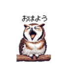 ドット絵 フクロウ 日常会話 40種（個別スタンプ：1）