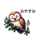 ドット絵 フクロウ 日常会話 40種（個別スタンプ：2）