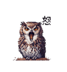 ドット絵 フクロウ 日常会話 40種（個別スタンプ：12）