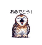 ドット絵 フクロウ 日常会話 40種（個別スタンプ：14）